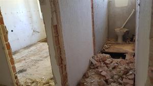 Cerovec 4_20200507_132539 (Medium)